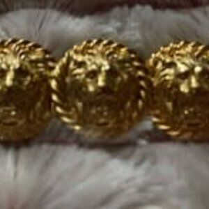 Lion brooch